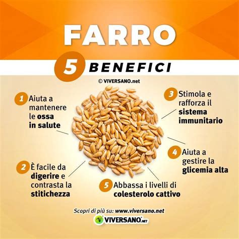 Infografica sui benefici del farro per la salute