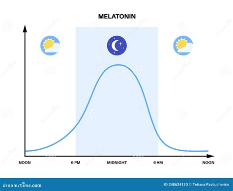 Diagramma del ciclo sonno-veglia e melatonina