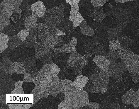 Microstruttura di ceramica vetrosa di silicato di calcio-magnesio-alluminio