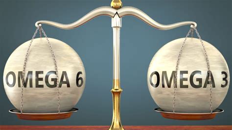 Schema che illustra l'equilibrio tra Omega-3 e Omega-6
