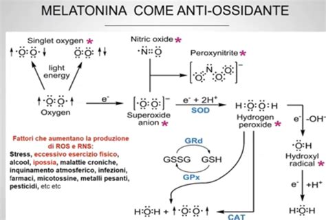Schema dell'azione antitumorale della melatonina