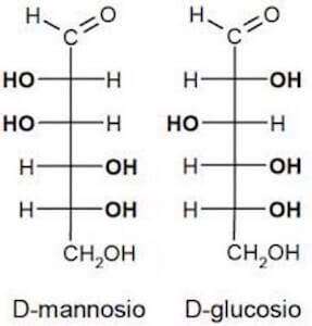 Struttura chimica del D-mannosio