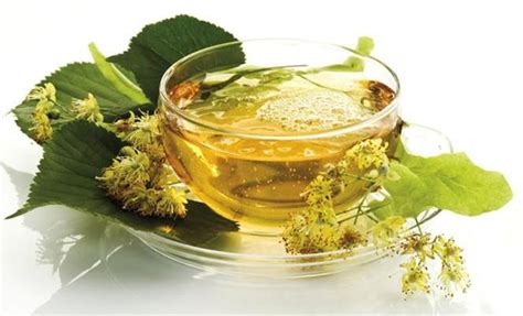 Infuso di fiori di tiglio