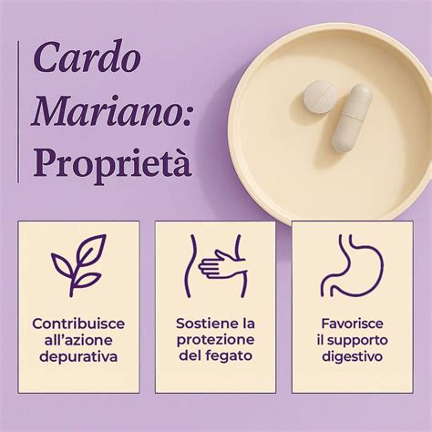 Infografica sui benefici del cardo mariano per il fegato