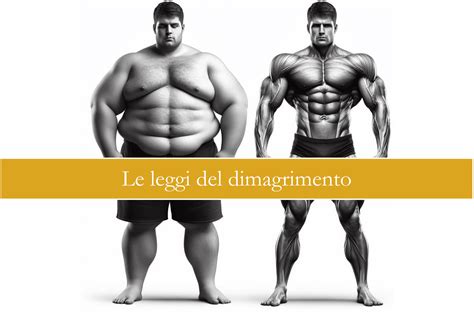 Infografica che illustra i diversi programmi di dimagrimento personalizzati