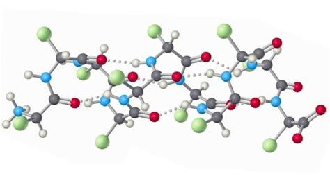 struttura molecolare della cheratina