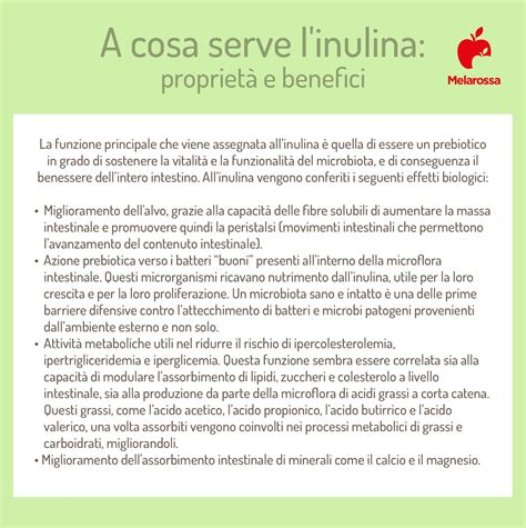 Infografica sui benefici e controindicazioni dell'inulina