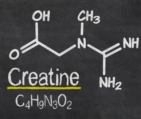 Infografica che illustra gli effetti positivi della creatina e gli abbinamenti consigliati