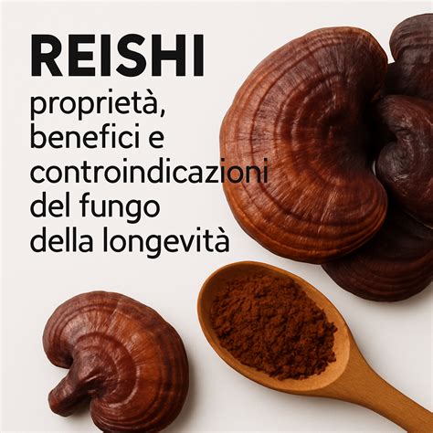 Infografica sui benefici del fungo Reishi