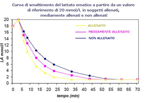 Grafico che mostra l'effetto tampone della carnosina sull'acido lattico