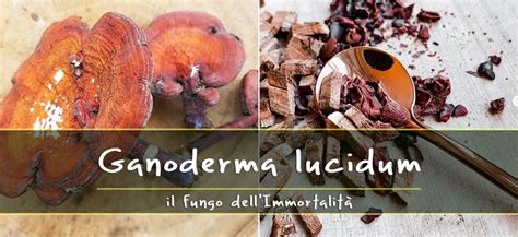 Raffigurazioni antiche del Ganoderma Lucidum nell'arte cinese