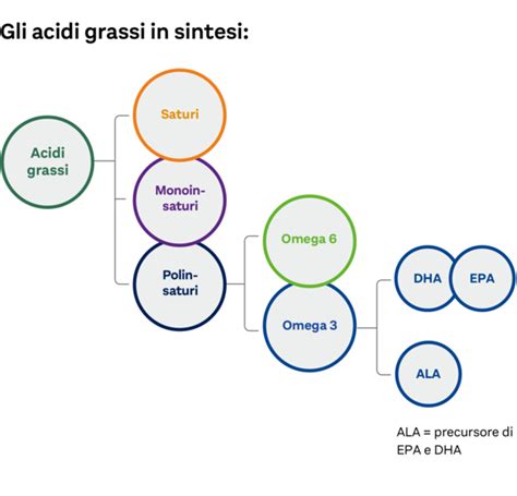 Infografica sugli acidi grassi Omega-3 nel DHA