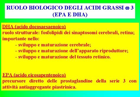 Schema del ruolo del DHA nello sviluppo cerebrale fetale