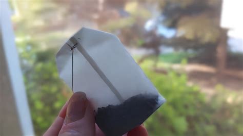 Immagine di una bustina di Ovasitol