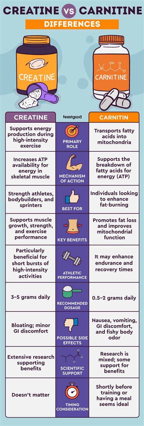 Tabella comparativa: Creatina vs Carnitina