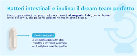 Schema dei benefici dell'inulina per la salute intestinale