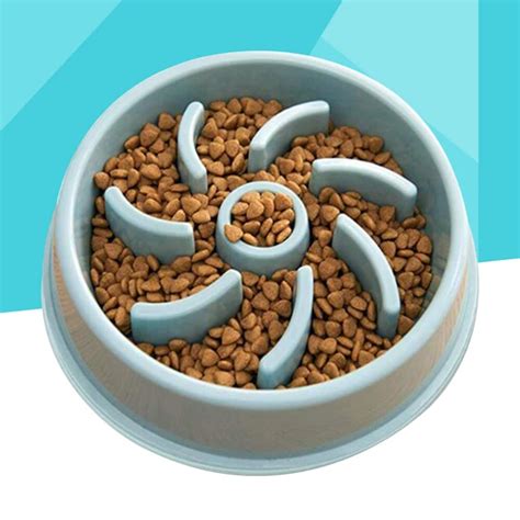 Ciotola di cibo casalingo per cani
