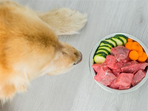Porzioni di cibo casalingo congelato per cani