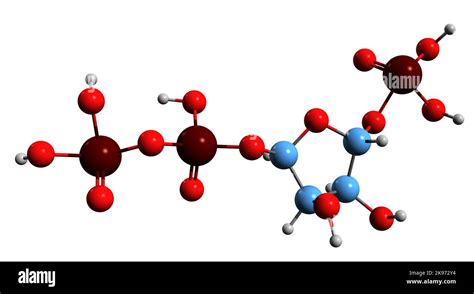 Struttura chimica del L-5-metiltetraidrofolato