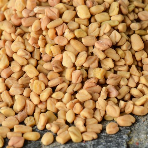 Schema delle interazioni farmacologiche del fieno greco