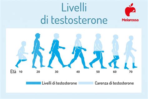 Schema dei livelli di testosterone nell'uomo