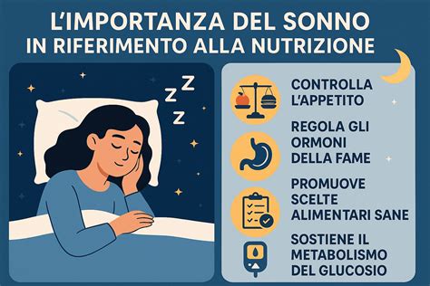 Grafico che mostra l'influenza del sonno, dell'esercizio e dell'alimentazione sui livelli di testosterone