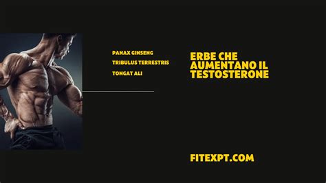 Infografica con le principali erbe che supportano il testosterone