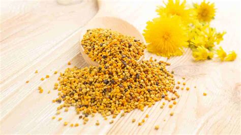 Diverse tipologie di polline d'api