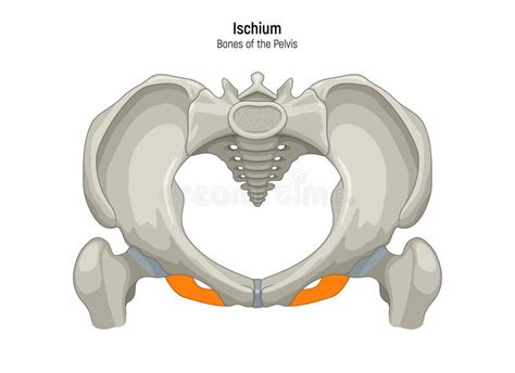 Schema illustrativo sull'applicazione dello spray