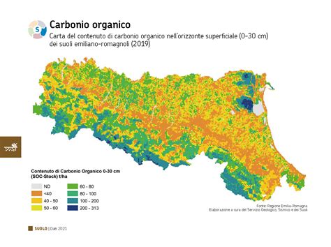 Mappa del contenuto di carbonio organico nei suoli