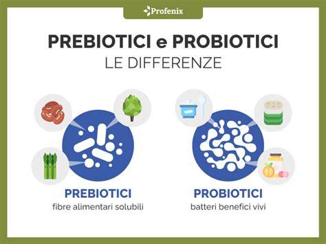 Schema che illustra la differenza tra probiotici e prebiotici