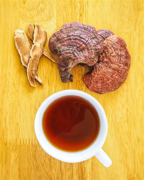 Tazza di tè verde con funghi Reishi