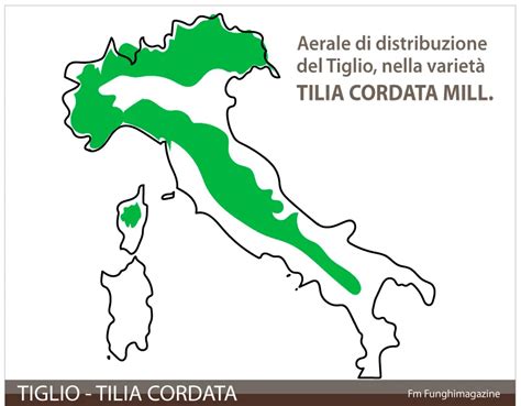 Mappa che mostra la distribuzione del Tiglio in Europa