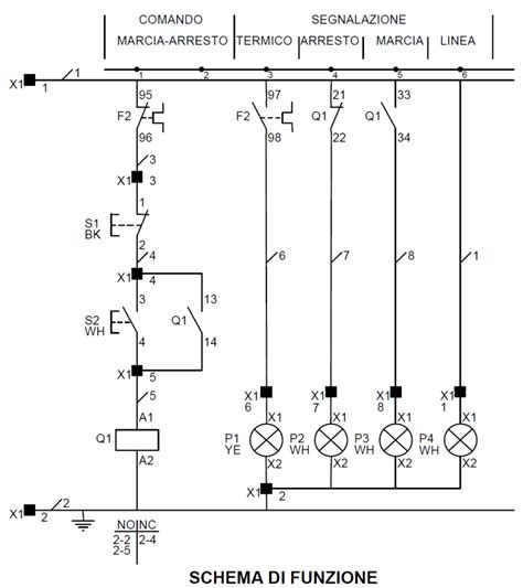 Schema della preparazione del dispositivo per microdialisi-EEG