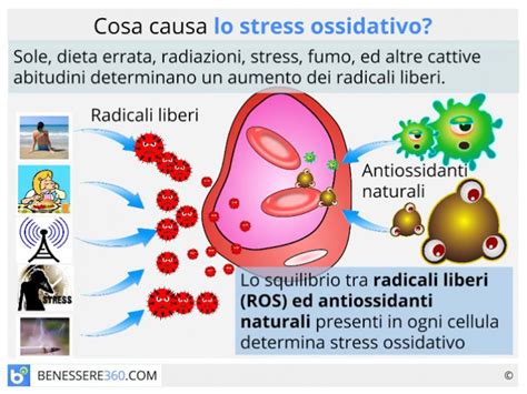 Diagramma che illustra le cause dello stress ossidativo (inquinamento, dieta scorretta, stress, fumo, alcol)