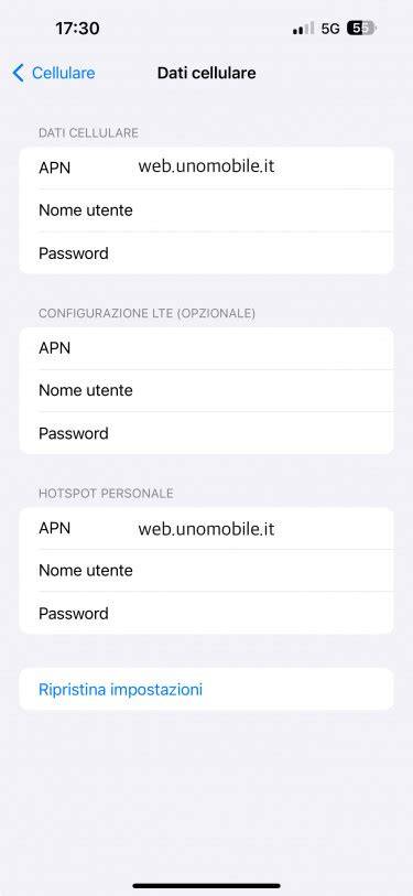 Schermata di configurazione APN su iPhone