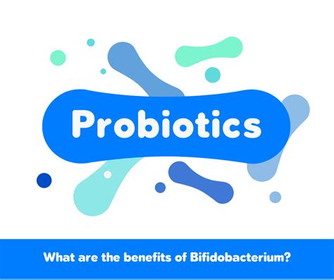 Grafico che mostra i benefici del Bifidobacterium bifidum per la salute intestinale
