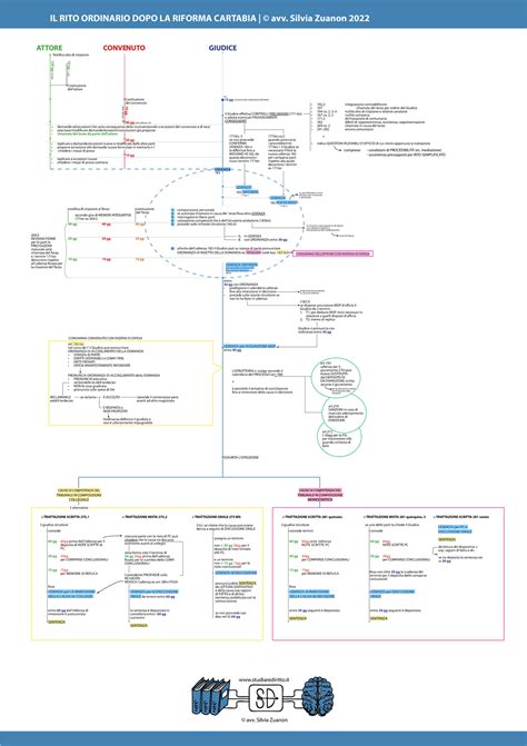 Schema delle fasi del processo civile riformato dalla Cartabia