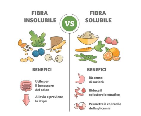 Grafico dei benefici degli ingredienti di Vivolax Fibra
