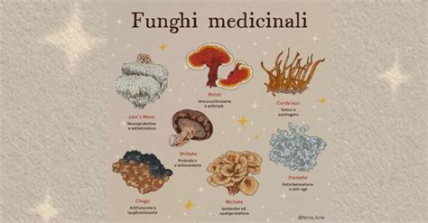 Schema delle proprietà benefiche dei funghi medicinali