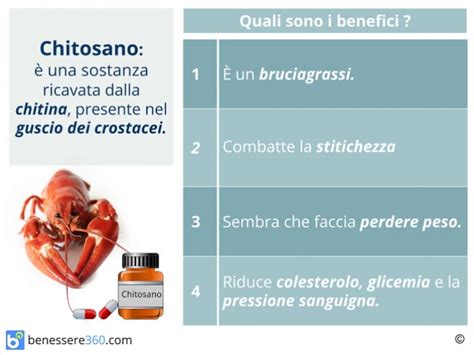 Grafico che mostra l'azione del chitosano sull'assorbimento dei grassi