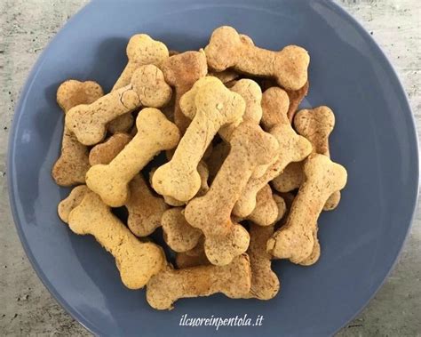 Varietà di biscotti per cani