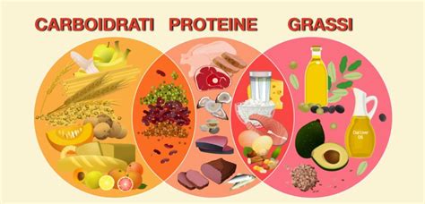 Infografica sui principali nutrienti dell'acerola