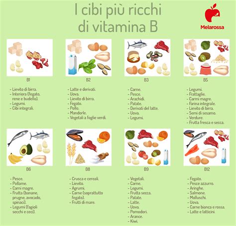 Mappa alimentare che evidenzia gli alimenti ricchi di vitamine del gruppo B