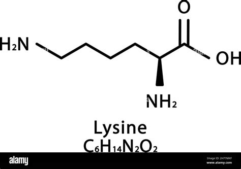 Struttura chimica della Lisina