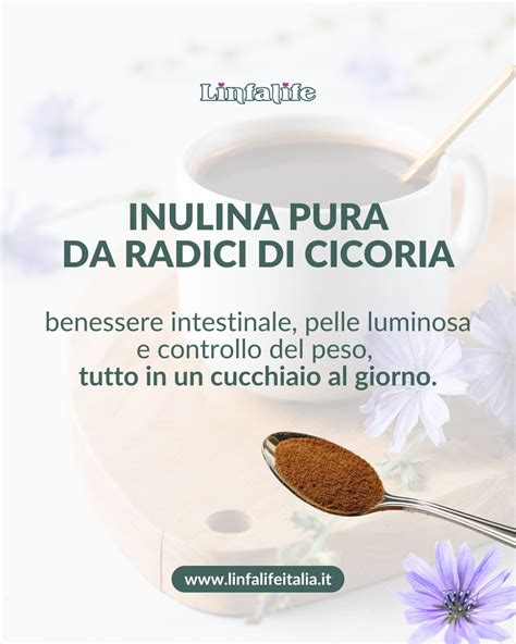 Inulina estratta dalla cicoria