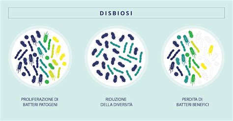 Grafico che illustra la riduzione dei Lactobacillus e l'aumento dei patogeni nella disbiosi