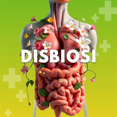 Infografica che mostra la connessione tra intestino e sistema immunitario