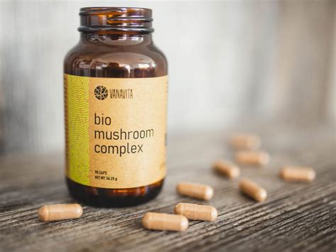 Infografica sui composti attivi del Reishi