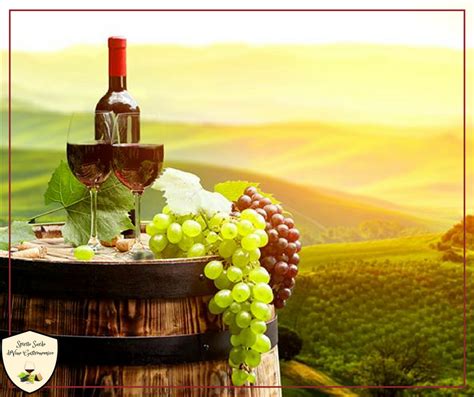 Grappoli d'uva e un calice di vino